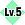 Lv5