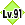 Lv91