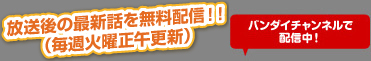 �o���_�C�`�����l���Ŕz�M���I