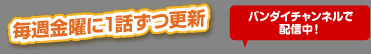 �o���_�C�`�����l���Ŕz�M���I