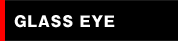 GLASS EYE
