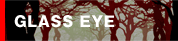 GLASS EYE