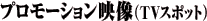 �v�����[�V�����f���iTV�X�|�b�g�j