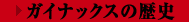 →ガイナックスの歴史