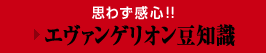 思わず感心!!　→エヴァンゲリオン豆知識