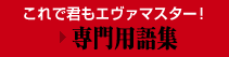 これで君もエヴァマスター！　→専門用語集