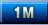 1M