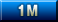 1M