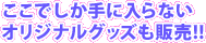 �����ł�����ɓ���Ȃ��I���W�i���O�b�Y���̔��I�I