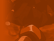 �C���[�W