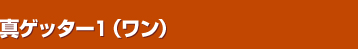 �^�Q�b�^�[�P�i�����j