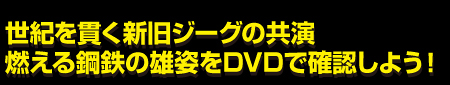 ���I���т��V���W�[�O�̋����@�R����|�S�̗E�p��DVD�Ŋm�F���悤�I