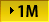 1M