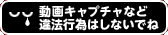 動画キャプチャなど違法行為はしないでね