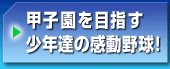 �b�q����ڎw�����N�B�̊����싅�I