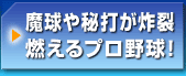 �������ł��y�� �R����v���싅