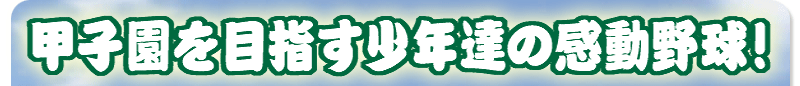 �b�q����ڎw�����N�B�̊����싅�I