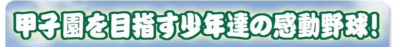 �b�q����ڎw�����N�B�̊����싅�I