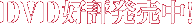 DVD�D�]�������I