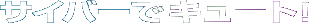 �T�C�o�[�ŃL���[�g�I
