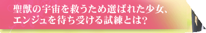 ���b�̉F�����~�����ߑI�΂ꂽ�����E�G���W����҂��󂯂鎎���Ƃ́H