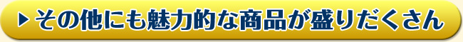 その他にも魅力的な商品が盛りだくさん!!