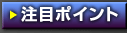 ���ڃ|�C���g