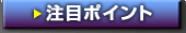 注目ポイント