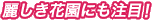 麗しき花園にも注目!