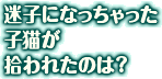 ���q�ɂȂ���������q�L���E��ꂽ�̂́H