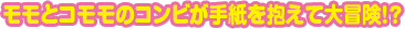 �����ƃR�����̃R���r���莆������đ�`���I�H