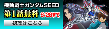 @mK_SEED 1b@ 8/28܂ ͂
