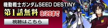 @mK_SEED DESTINY 1b@ 8/28܂ ͂