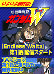 K_W Endless Waltz