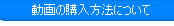 動画の購入方法について