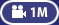 1M