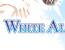 WHITE ALBUM