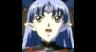 星界の戦旗 