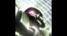 機動戦士ガンダム MSイグルー −黙示録0079− 