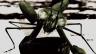 Episode０１ Stormy Mantis