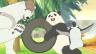 第3話 シロクマくん動物園へ／パンダくんの悩み