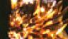 牙狼＜GARO＞ 