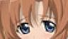 ひぐらしのなく頃に解 