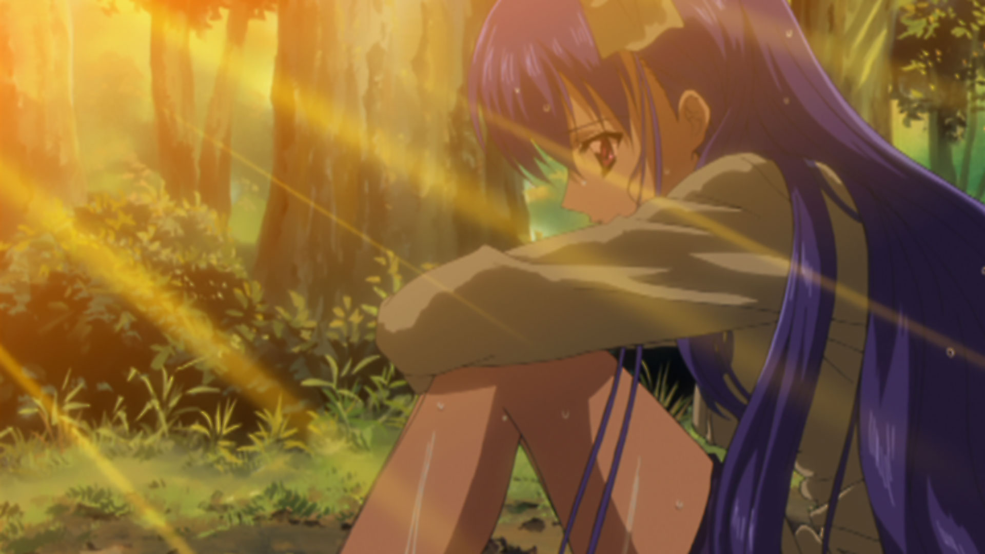 「桃華月憚」 バンダイチャンネル