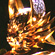 牙狼＜GARO＞